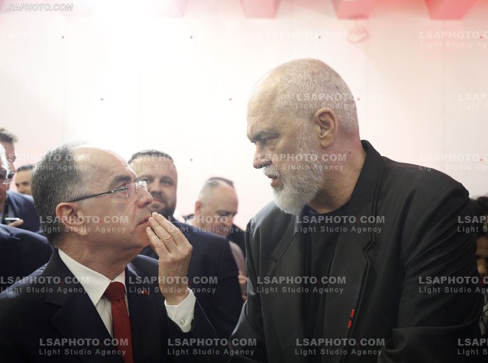Dita e pare e Samitit te Diaspores