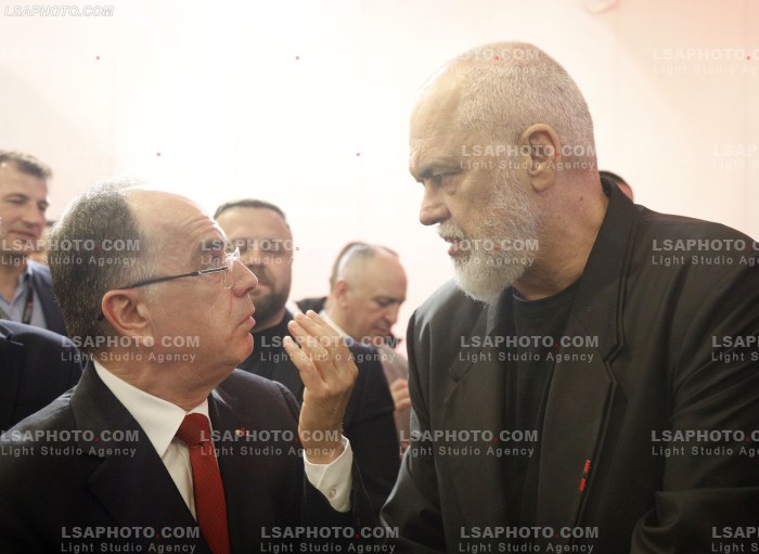 Dita e pare e Samitit te Diaspores