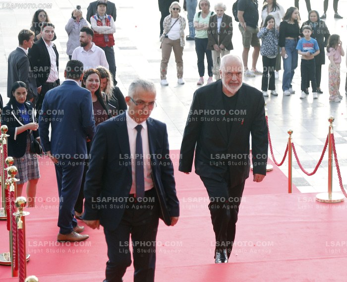 Dita e pare e Samitit te Diaspores