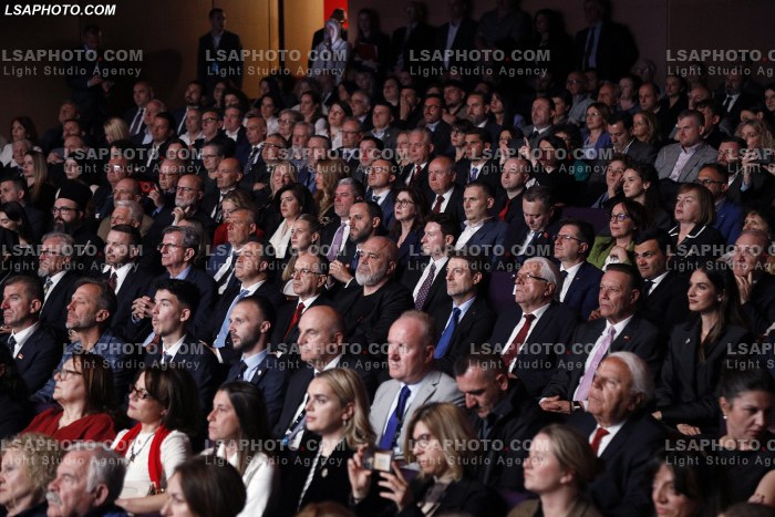 Dita e pare e Samitit te Diaspores