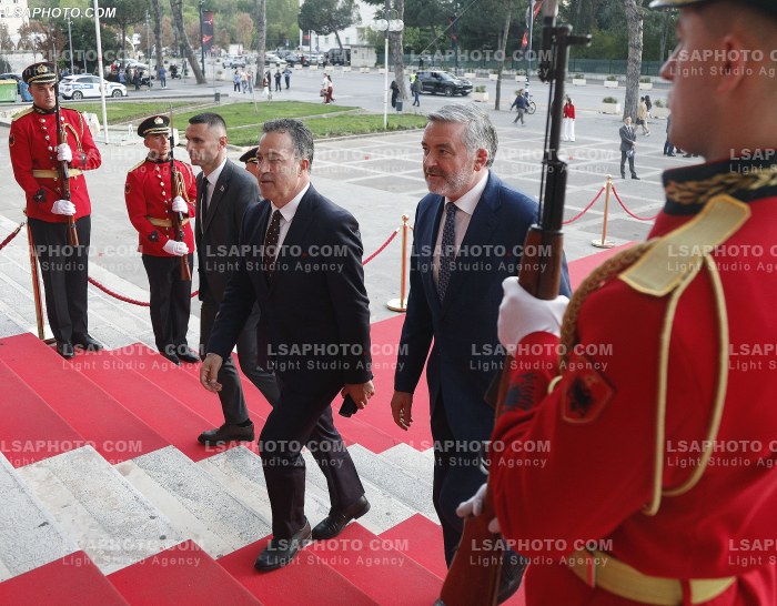 Figura duke hyre ne Samitin e Diaspores