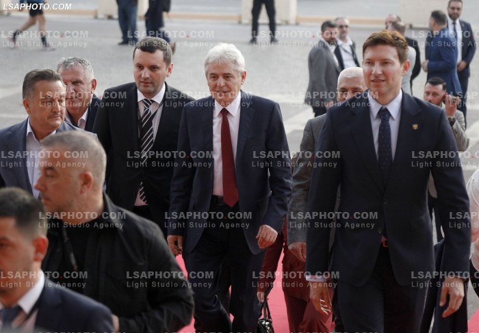 Figura duke hyre ne Samitin e Diaspores