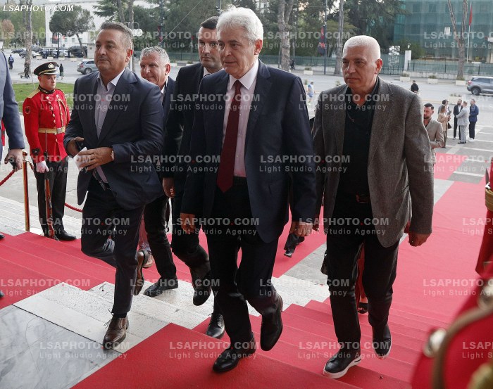 Figura duke hyre ne Samitin e Diaspores
