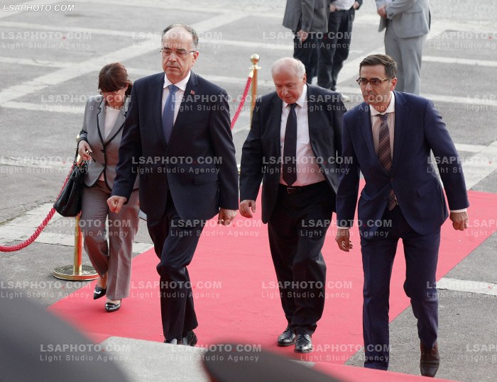 Figura duke hyre ne Samitin e Diaspores
