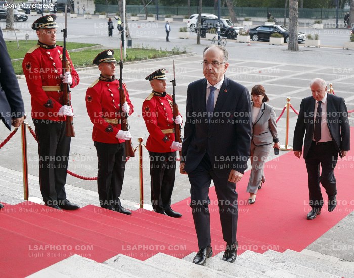 Figura duke hyre ne Samitin e Diaspores