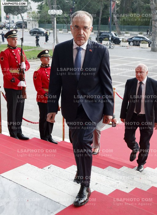 Figura duke hyre ne Samitin e Diaspores