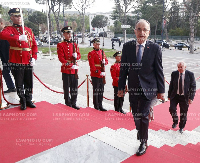 Figura duke hyre ne Samitin e Diaspores