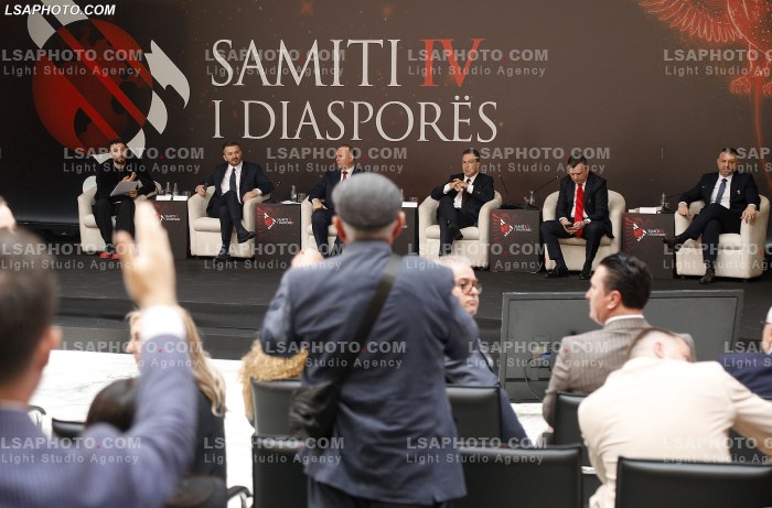 Kritike gjate Samitit te Diaspores