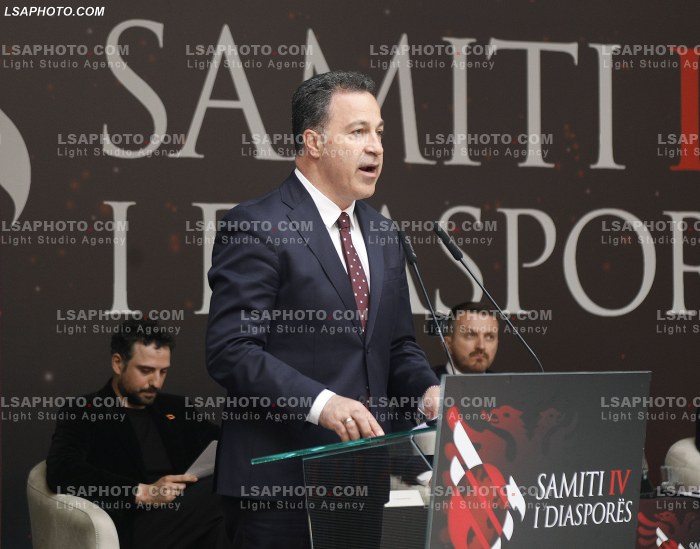 Dita e Dyte e Samitit te Diaspores