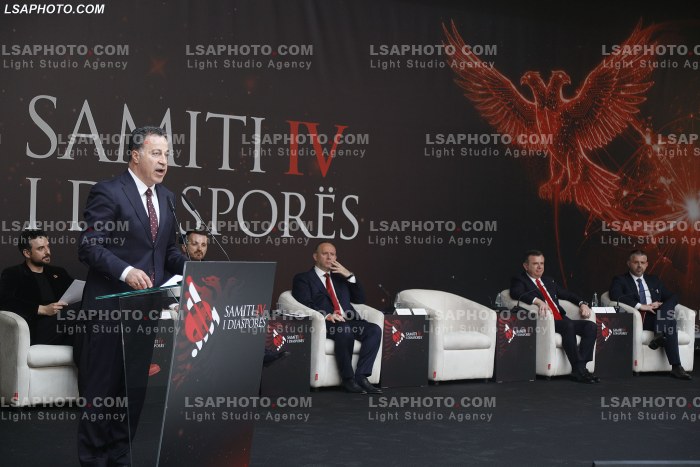 Dita e Dyte e Samitit te Diaspores