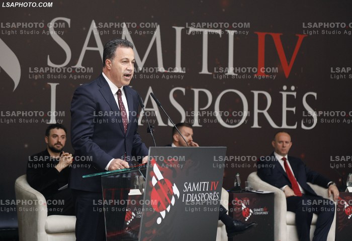 Dita e Dyte e Samitit te Diaspores