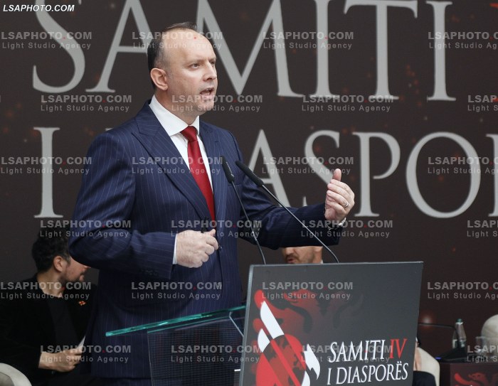 Dita e Dyte e Samitit te Diaspores