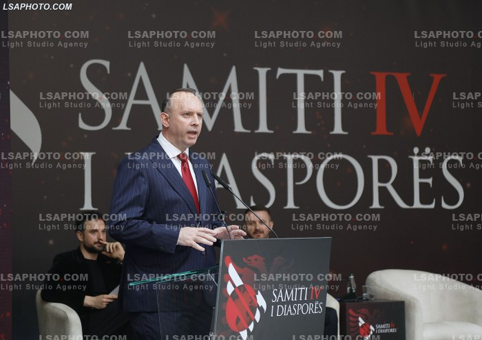 Dita e Dyte e Samitit te Diaspores