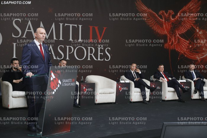 Dita e Dyte e Samitit te Diaspores