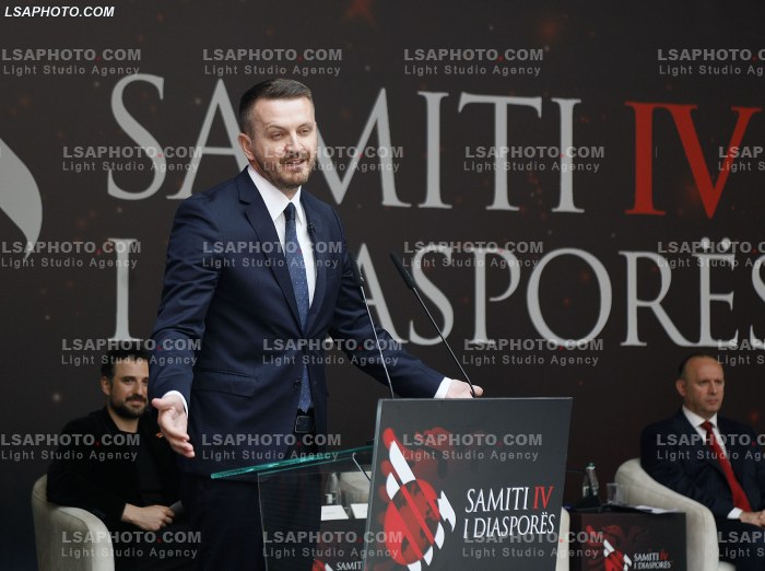 Dita e Dyte e Samitit te Diaspores
