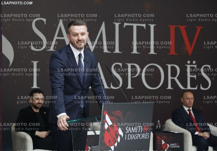 Dita e Dyte e Samitit te Diaspores