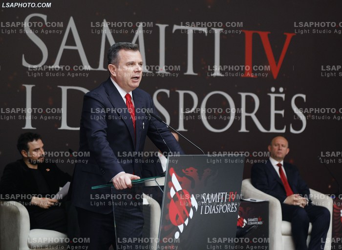 Dita e Dyte e Samitit te Diaspores