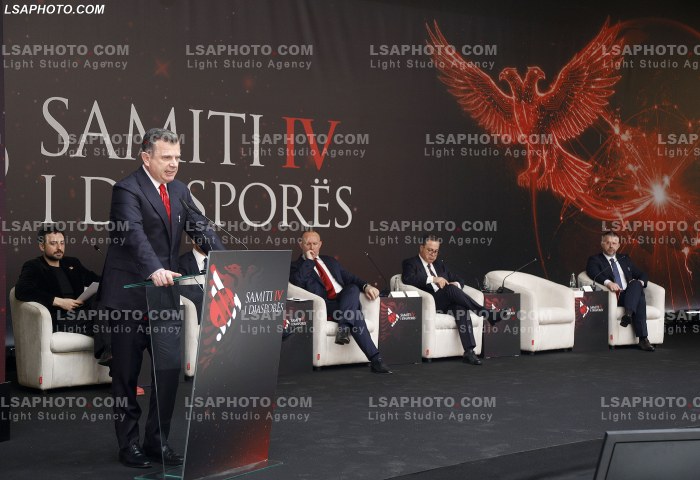 Dita e Dyte e Samitit te Diaspores