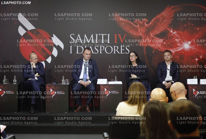 Dita e Dyte e Samitit te Diaspores