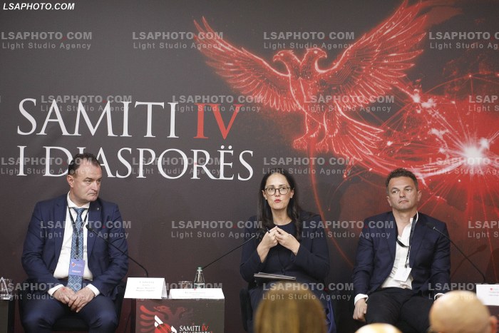 Dita e Dyte e Samitit te Diaspores