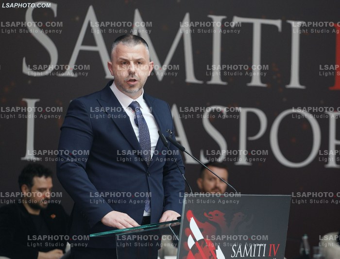 Dita e Dyte e Samitit te Diaspores