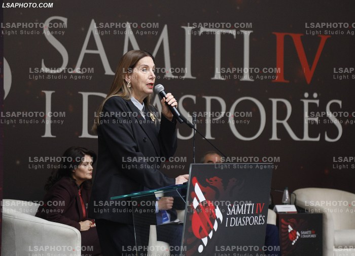 Dita e Dyte e Samitit te Diaspores