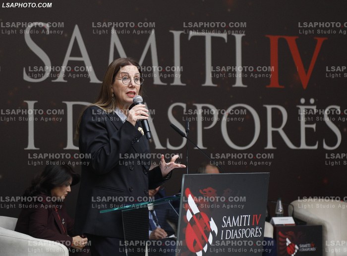 Dita e Dyte e Samitit te Diaspores
