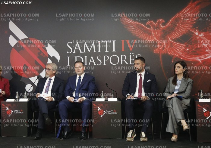 Dita e Dyte e Samitit te Diaspores