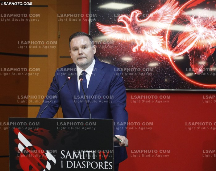 Dita e Dyte e Samitit te Diaspores
