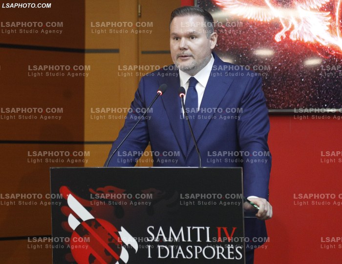 Dita e Dyte e Samitit te Diaspores