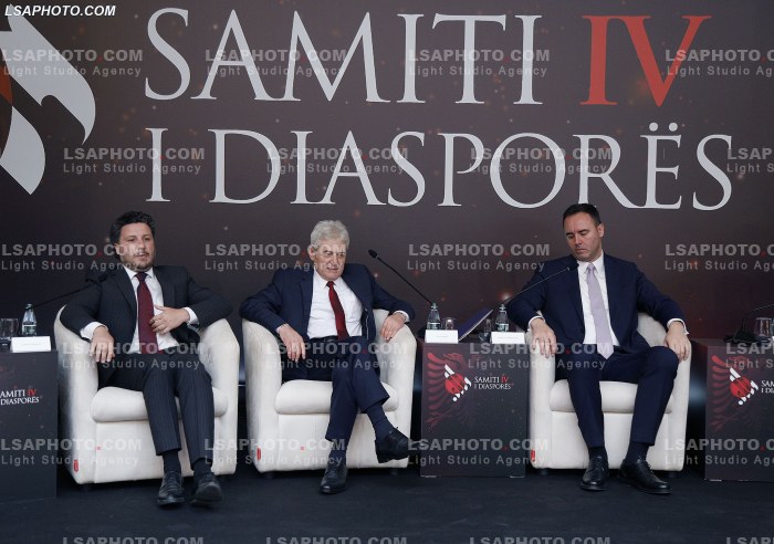 Kreret rajonale gjate Samitit te Diaspores