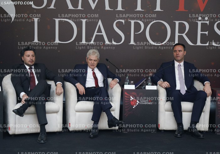 Kreret rajonale gjate Samitit te Diaspores