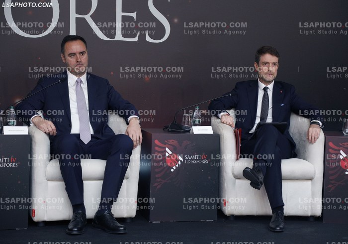 Kreret rajonale gjate Samitit te Diaspores
