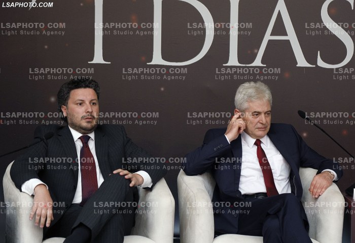 Kreret rajonale gjate Samitit te Diaspores