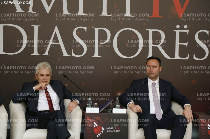 Kreret rajonale gjate Samitit te Diaspores