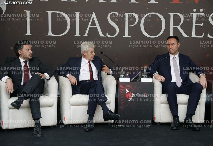 Kreret rajonale gjate Samitit te Diaspores