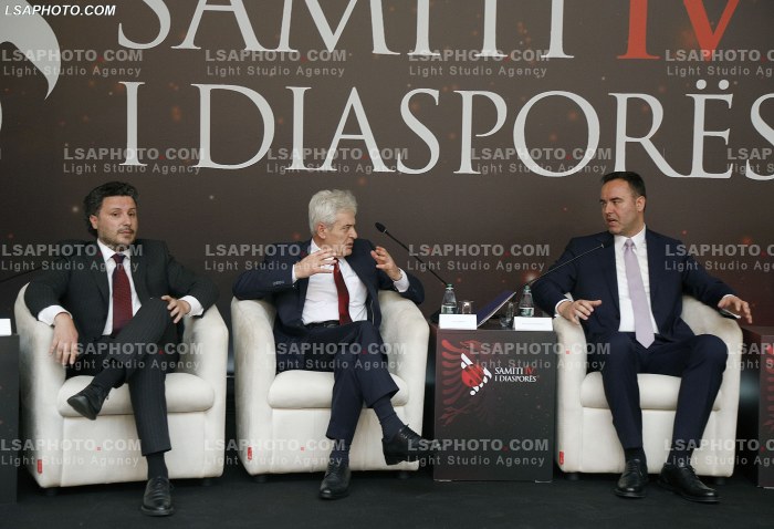 Kreret rajonale gjate Samitit te Diaspores