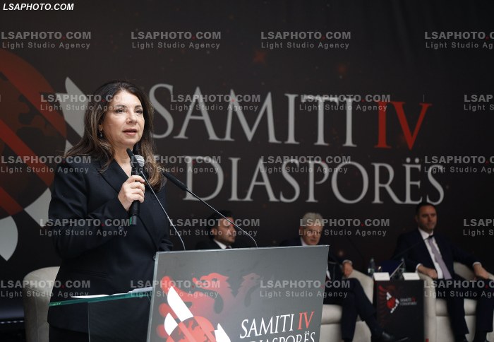 Kreret rajonale gjate Samitit te Diaspores