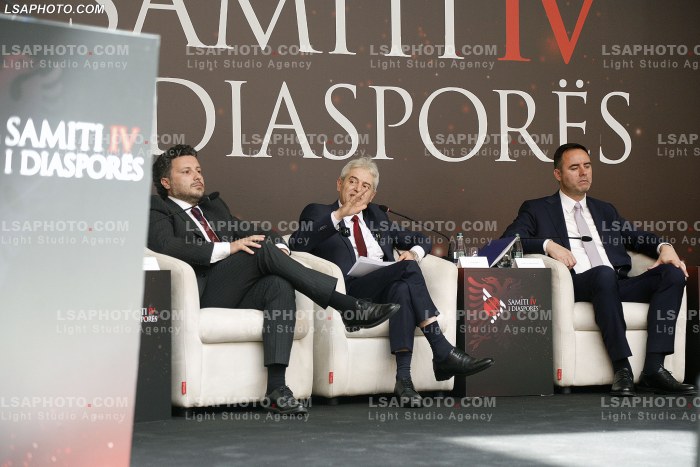 Kreret rajonale gjate Samitit te Diaspores