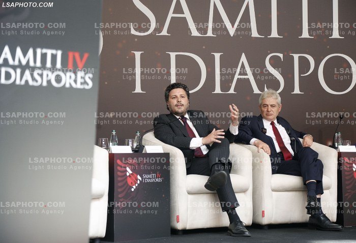 Kreret rajonale gjate Samitit te Diaspores
