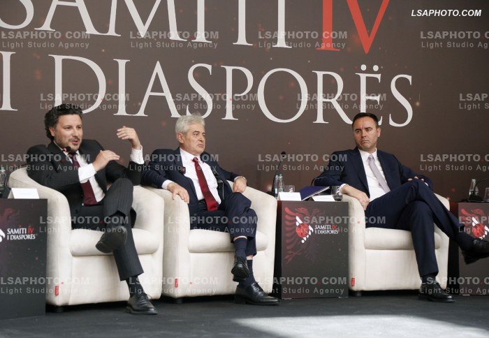Kreret rajonale gjate Samitit te Diaspores