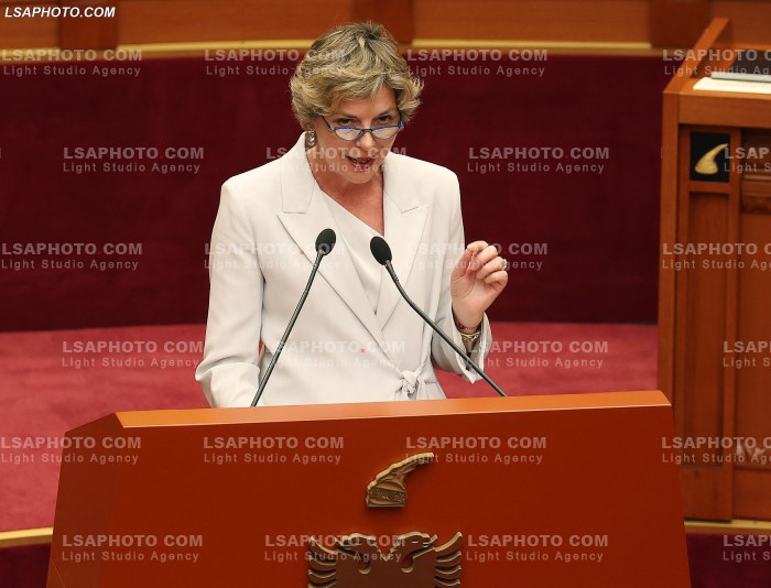 Seance parlamentare