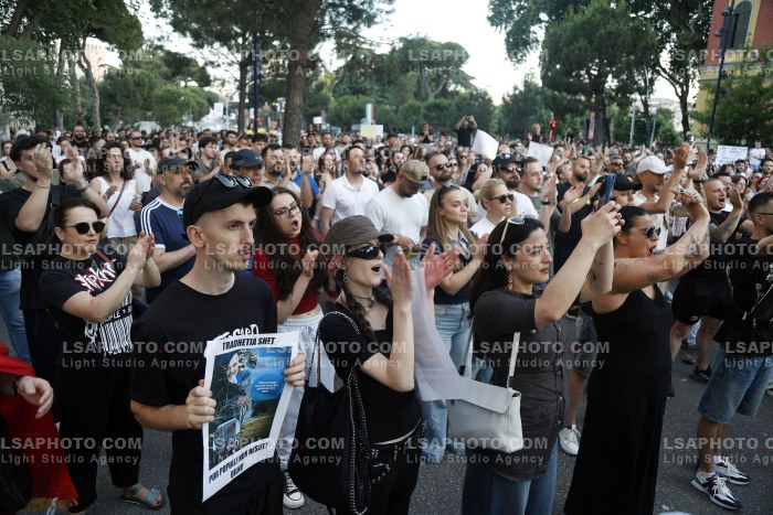 Proteste ne Tirane Pas Perplasjes se Protestuesve me Policine Private ne Zvernec