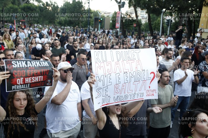 Proteste ne Tirane Pas Perplasjes se Protestuesve me Policine Private ne Zvernec