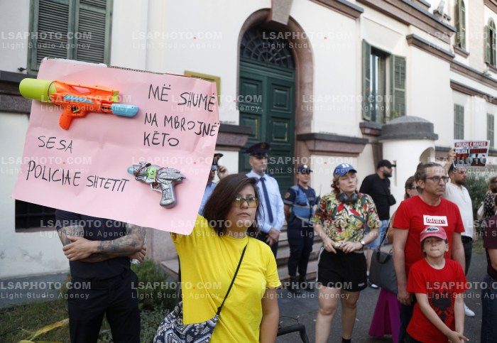Proteste ne Tirane Pas Perplasjes se Protestuesve me Policine Private ne Zvernec