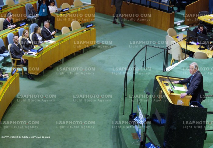 LAMALLARI IN UN AT THE MIGRATION FORUM