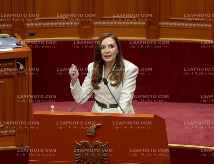 Seance parlamentare