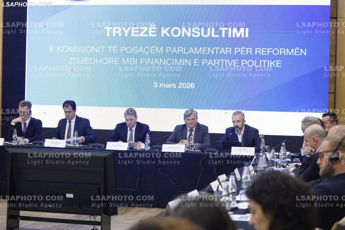 Konsultim per reformen zgjedhore