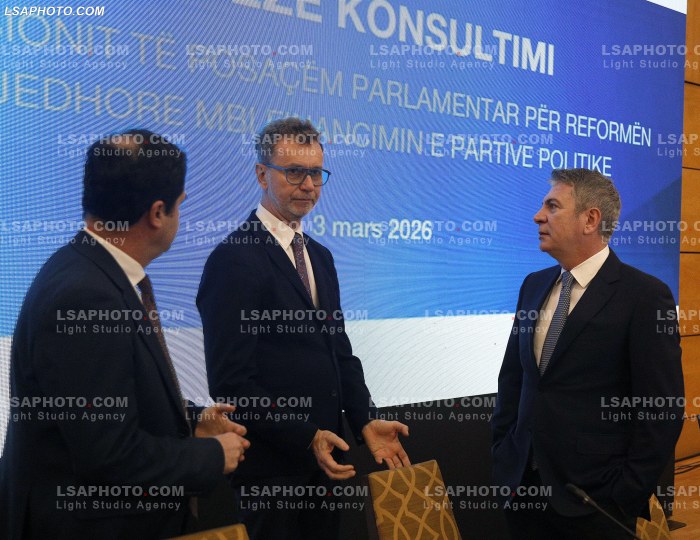 Konsultim per reformen zgjedhore