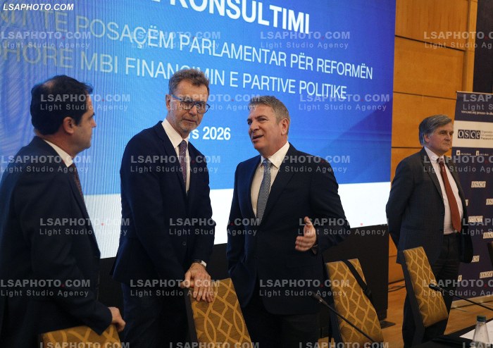 Konsultim per reformen zgjedhore